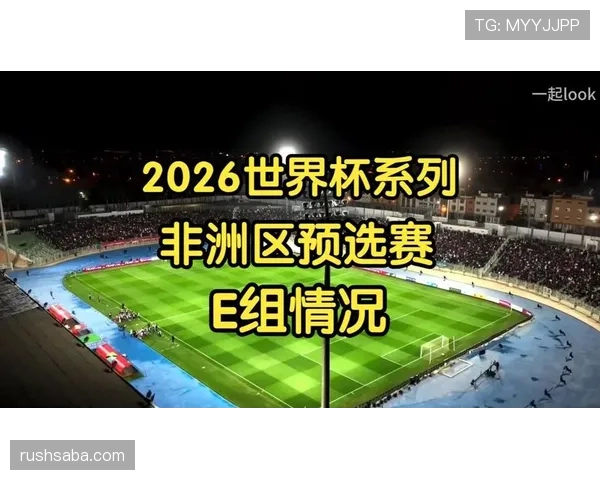世界杯E组最终排名预测